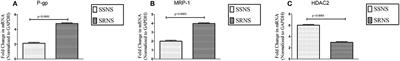 Reciprocal Relationship Between HDAC2 and P-Glycoprotein/MRP-1 and Their Role in Steroid Resistance in Childhood Nephrotic Syndrome